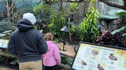 Ways to keep your kids entertained over winter break