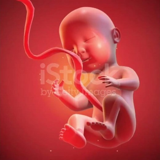 Quran Aur Science 🕋 #islamic #science