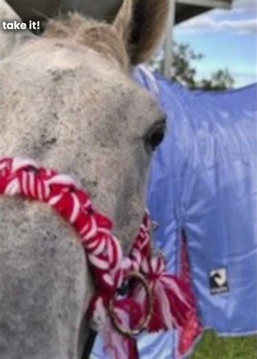 this is a template bc i am slack