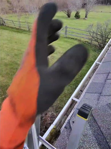 How to properly clean your gutters! 🍂