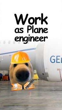 What it's like working as a Plane Engineer? Explained by doggie ✈️🔧🐕