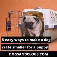 5 Easy Ways To Make A Dog Crate Smaller For A Puppy (2023) - DogsAndClogs