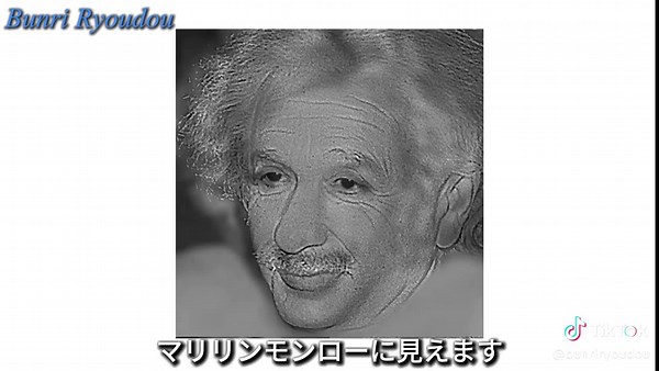 常識が崩壊する錯視20選