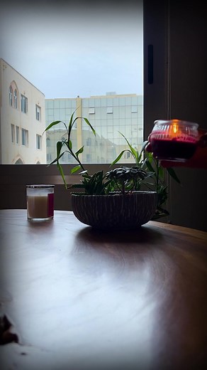 Each certificate holds a piece of picasso’s incredible artistic puzzle.😌 | Picasso School