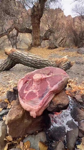 Tom and Jerry Cooking a Delicious Steak Outdoors