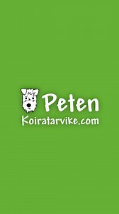 Yli 10 000 tuotetta koirille, kissoille, kaneille ja jyrsijöille! 🐶🐱🐰🐹 | PetenKoiratarvike.com