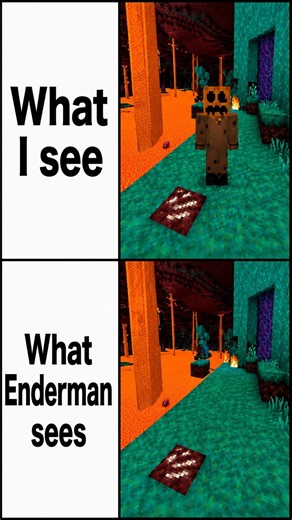 CURSED Minecraft Memes PT.21 #shorts