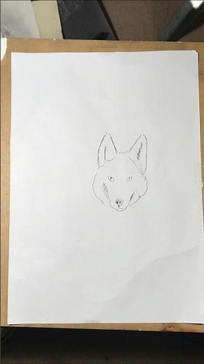 How to Draw a Wolf Easily | Step by Step Wolf Drawing