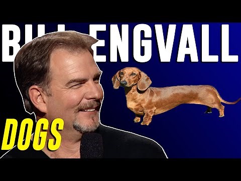 Bill Engvall - Dogs