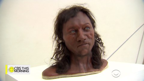 Cheddar Man DNA indicates early Britons had dark skin