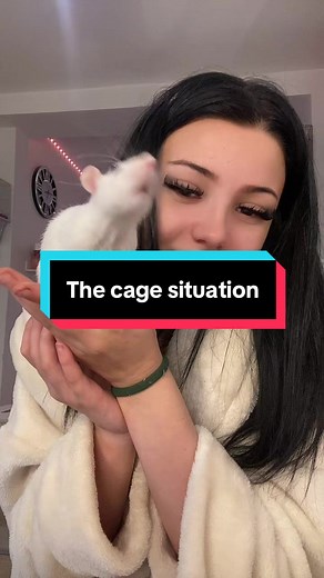 Understanding Your Rattie's Cage Needs