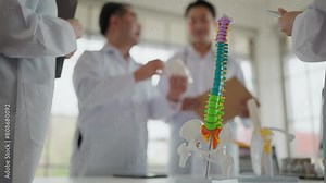 Close up spine model, human skeleton anatomy on table in classroom. Medical lab with anatomy models and medical equipment