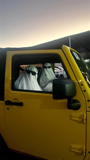 Connection Auto Auction on Reels