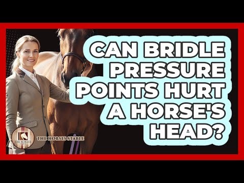 Can Bridle Pressure Points Hurt A Horse's Head?