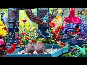 🔴LIVE 4K Spring Flower Garden Bird Feeder: Cardinals, Woodpeckers, Songbirds, Warblers, Birds