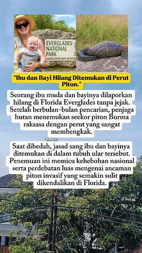 mother and baby swallowed by python #global #GlobalCommunity #shortreel #DigitalCreator | Lidia Kandow Sitorus