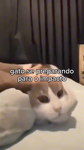 Such cute animals ❤️‍🩹🐾