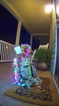 Expert Shares TOP 5 Fanny Pack Hacks for Travelers