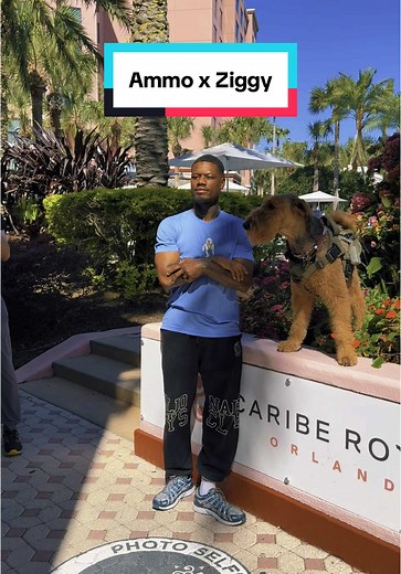 Austin 'Ammo' Williams Fight Week Highlights with Ziggy