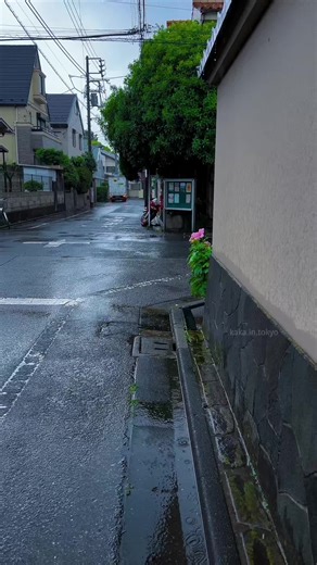 Tokyo Rainy Day Vibes: A Cinematic Experience