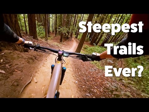 STEEP UCSC Mountain Bike Trails Pushing My Limits (San Francisco Bay Area)