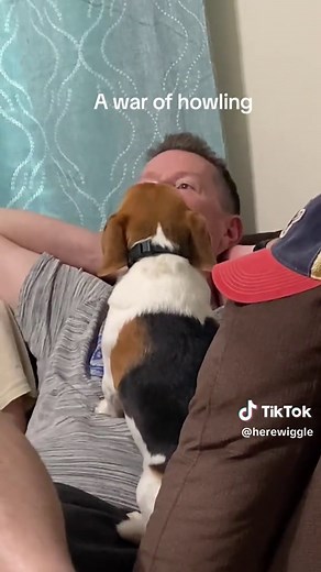 Beagle Howling Showcase: The Silent Barkers
