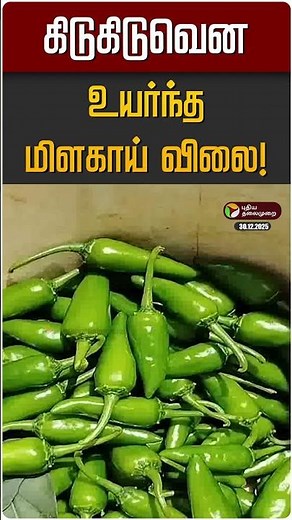 கிடுகிடுவென உயர்ந்த மிளகாய் விலை! | Green Chilly Price