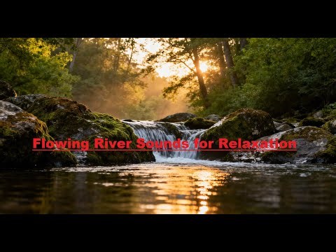 River Stream ASMR for Stress Relief