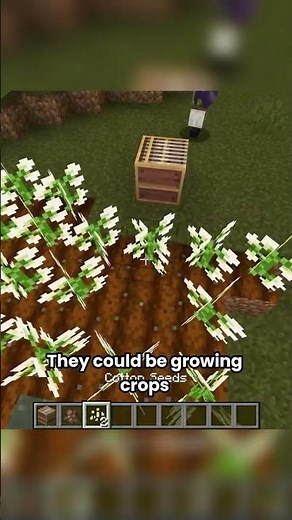 Adding cotton in Minecraft