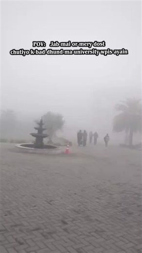 University Life with Friends: A Humorous Perspective