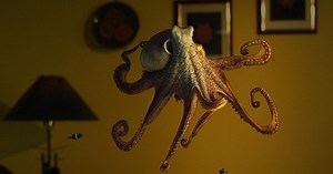 Nature | Octopus: Making Contact Preview | Season 38 | Episode 1
