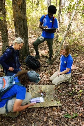 North Carolina Zoo on Instagram: "We are kickstarting a new series called Salamander Saturdays! 🦎 So, every Saturday, YOU can look forward to all things SALAMANDERS! 🎉 We’ll explore the Zoo’s conservation efforts focused on native salamanders, starting with onsite salamander surveys! These surveys are essential for gaining insights our native salamander population and identifying trends among them. Step 1: Look under the coverboard for salamanders, or other scurrying friends! 🐍 🦎 Step 2: Pho