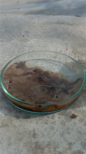 #shorts Science experiment 😯😳 using potassium permagnet and hydrogen peroxide // diy experiment 🫗