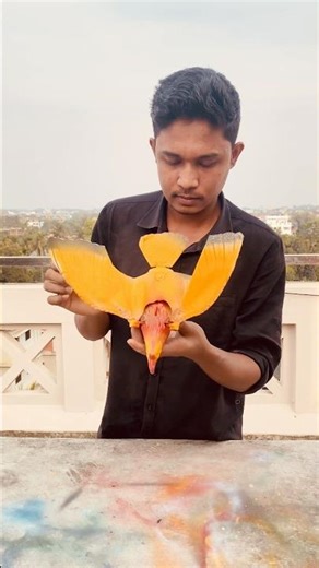 Red Colour Bird Toy 🔥