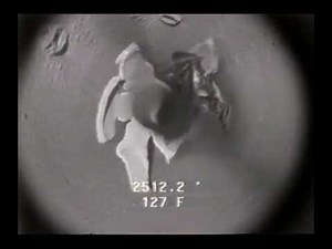 Downhole Video & Camera Application For Well Intervention