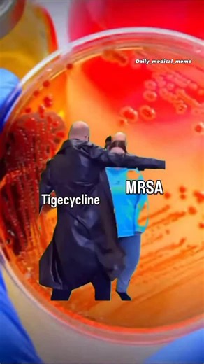 1.9K views · 2.1K reactions |  #microbiology #microbiologist #microbiologylab #explorepage #bacteriology #microbe #science #molecularbiology #kesfet #virology #pcr #cell #culture #media #molecular #lifescience #knowledge #know #fact #mikrobiyoloji #bacteria #bakteri #microbiologia #lab #laboratory #phd #phdstudent #fyp #viral #reel | Medical Microbiologist | Facebook