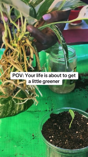 Your life is about to get a little bit greener!