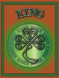 The history of the Irish name King
