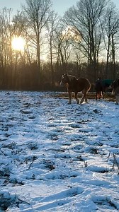 1.3M views · 10K reactions | One of my favorite transformations ❤️...