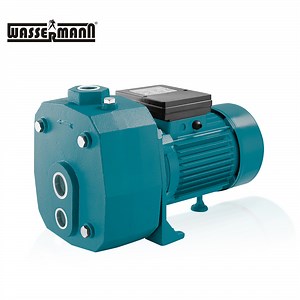 [Hot Item] Self Priming Jet Pumps for Deep Well with Injector