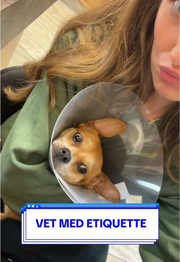 Vet Med Etiquette 101: Understanding the Basics