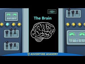 Escape from Fred: The Brain by Adventure Academy