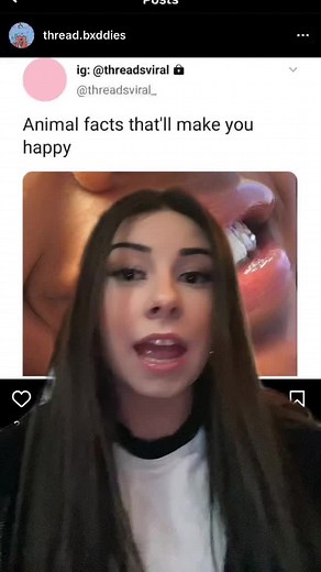 #greenscreen animal facts #fyp #foryoupage