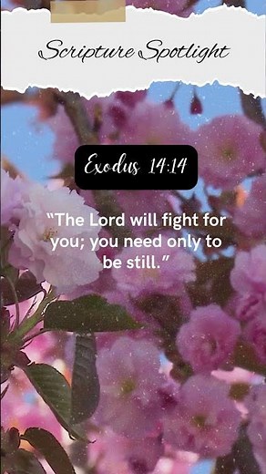 Exodus 14:14 #ScriptureSpotlight #ESV #FaithInAudio #InspiredByScripture #BibleInAudio