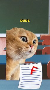 195K views · 5.3K reactions | Why Students Fails  #reelsvideoシ #reelsfypシ #fb #cat #funnymemes | Shercat Holmes | Facebook