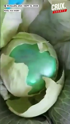 DEA Busts 2,000-Pound Meth Haul Hidden Inside Cabbage Shipment In Texas Warehouse