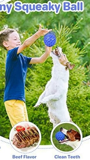 Indestructible Fun for Your Dog!