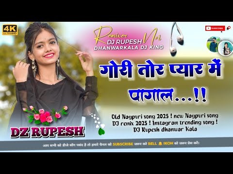 GORI TOR PYAR ME PAGAL ‼️ new Nagpuri DJ remix 2025 || Instagram trending song ‼️ DZ Rupesh