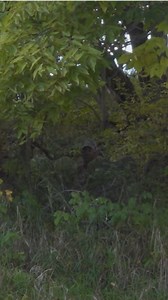 1.8K views | The GhostBlind is changing the game for ground hunters, lightweight, portable and built for ultimate concealment.  The Will Hunt Life just dropped a full video breaking down why it’s such a stealthy setup and where it shines most. Go check it out!  https://www.youtube.com/watch?v=L_AK5Kg6lGw #SummitOutdoorNation #GhostBlind | Summit Outdoors | Facebook