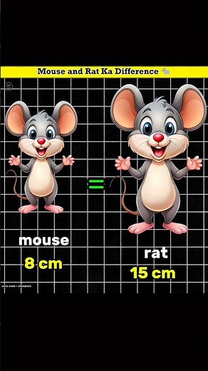 “Mouse vs Rat: Shocking Difference 😲”